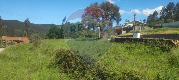 Terreno em Ribeira de Fráguas, Portugal 1450 m² N.º 74508 2
