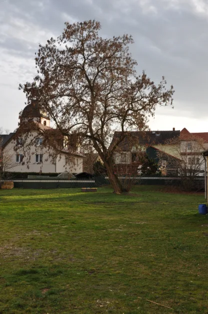 Grundstück in Leipzig, Germany, Nr. 161641