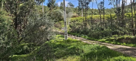 Terreno em Silves, Portugal 14000 m² N.º 58324 10