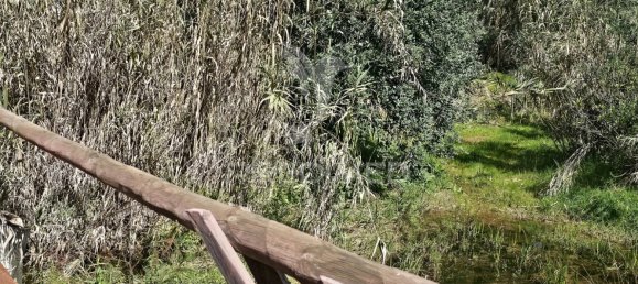 Terreno em Silves, Portugal 14000 m² N.º 58324 9