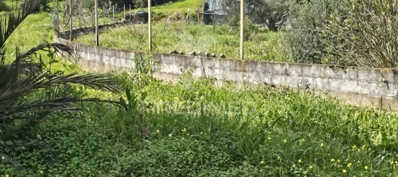 Terreno em Silves, Portugal 14000 m² N.º 58324 8