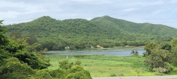 Commercial property in Bang Sare, Thailand No. 54 12