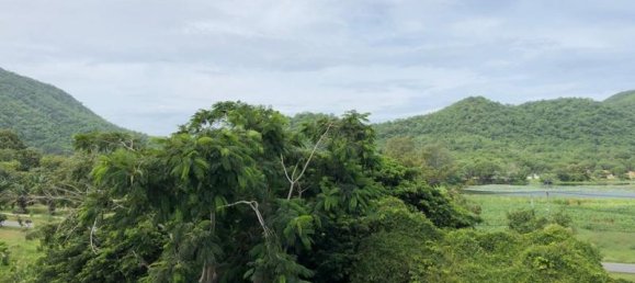 Commercial property in Bang Sare, Thailand No. 54 8