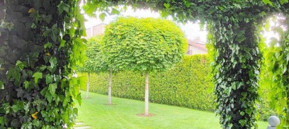 4-Zimmer Stadthaus in Linz, Austria, Nr. 257282 6