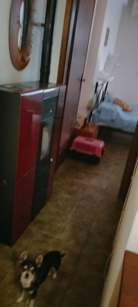 2-salle Appartement à Massa, Italy No. 80759