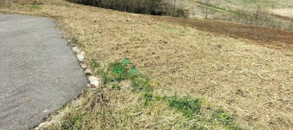  Land in Ferrette, France No. 39889 4