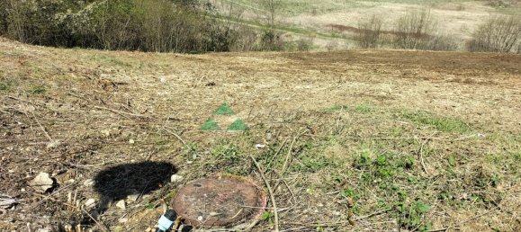  Land in Ferrette, France No. 39889 3