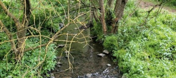 Land in Vogelsbergkreis, Germany No. 304876 11