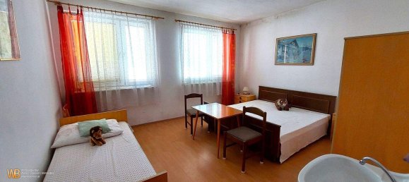 9 rooms House in Morbisch am See, Austria No. 238727 6