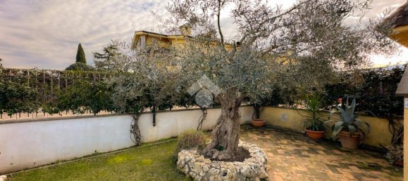 5غرفة منزل في Monte Compatri, Italy رقم 86863 41