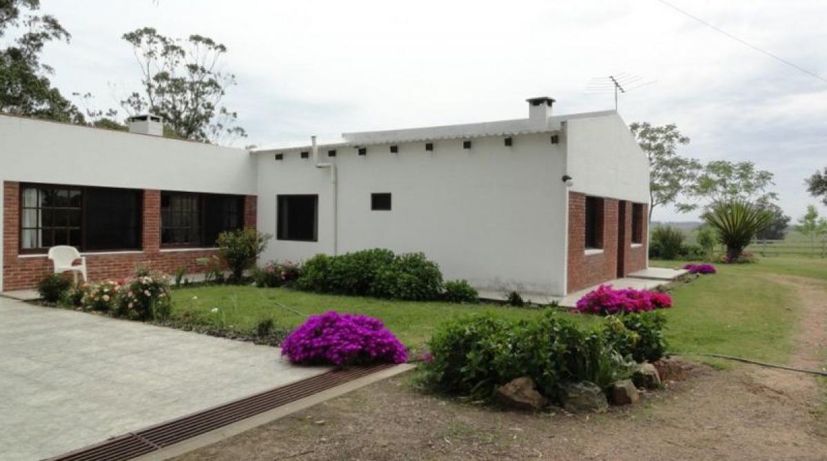 180m² Farm in Maldonado, Uruguay No. 15708