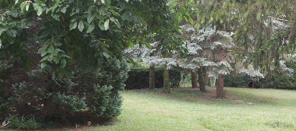 Grundstück in Hagenbrunn, Austria, Nr. 251308 3