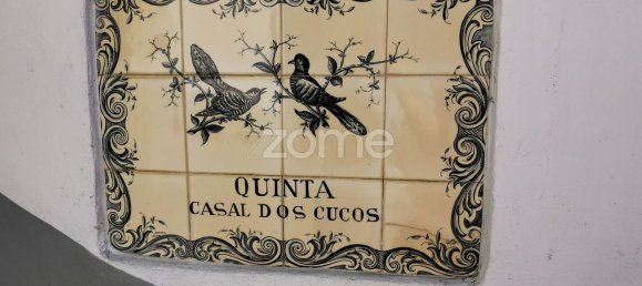 5 غرف نوم منزل في Agueda, Portugal رقم 28419 2