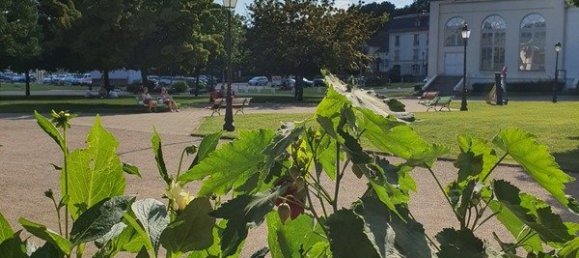 6 غرف نوم شقة في Contrexeville, France رقم 240123 10