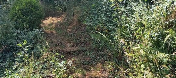 3 Schlafzimmer Haus in Indre, France, Nr. 283432 18