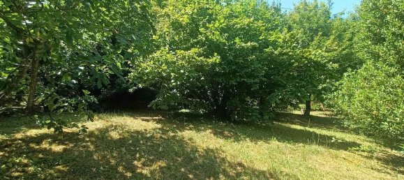 4 rooms Apartment in San Benedetto Val di Sambro, Italy No. 307648 12