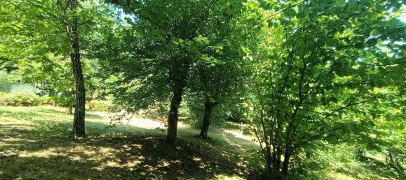 4 rooms Apartment in San Benedetto Val di Sambro, Italy No. 307648 13