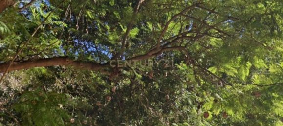 6 bedrooms House in Campanillas, Spain No. 178746 5