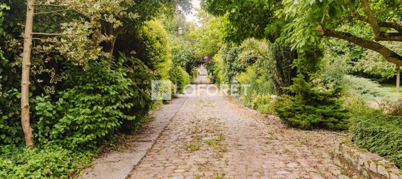 6 bedrooms House in Douai, France No. 363081 2