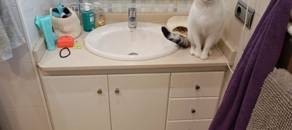 3 Schlafzimmer Haus in Cardona, Spain, Nr. 19367 19