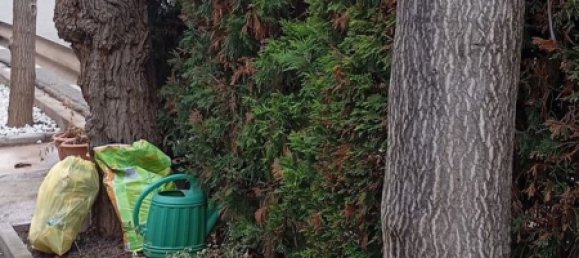 3 Schlafzimmer Haus in Cardona, Spain, Nr. 19367 5