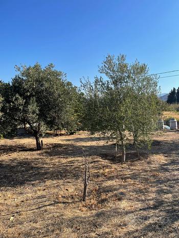 Terreno em Reggio Calabria, Italy 800 m² N.º 252160