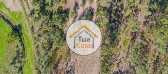 6662m² Land in Mangualde, Portugal No. 62717 7