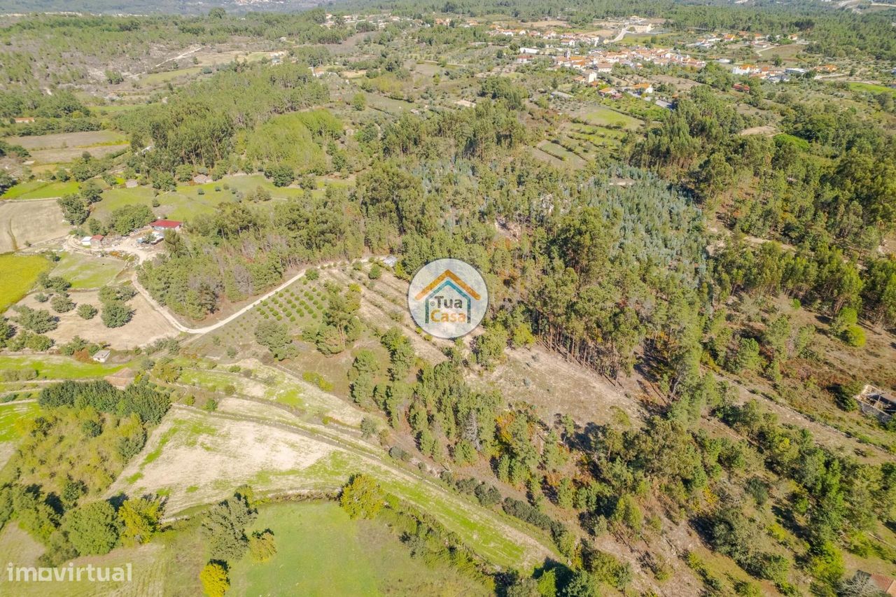 6662m² Land in Mangualde, Portugal No. 62717