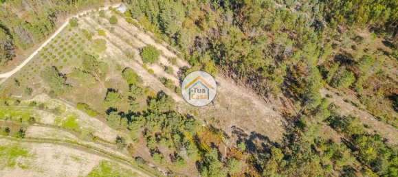 6662m² Land in Mangualde, Portugal No. 62717 3