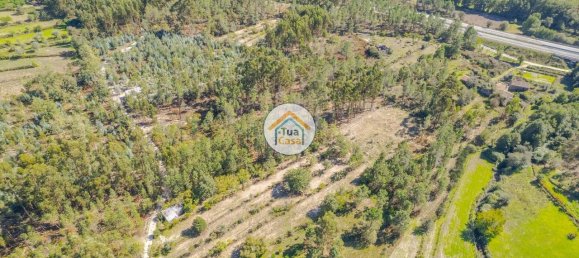 6662m² Land in Mangualde, Portugal No. 62717 2