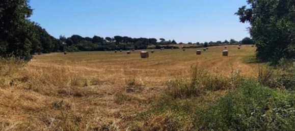 Land in Bracciano, Italy No. 122422 3
