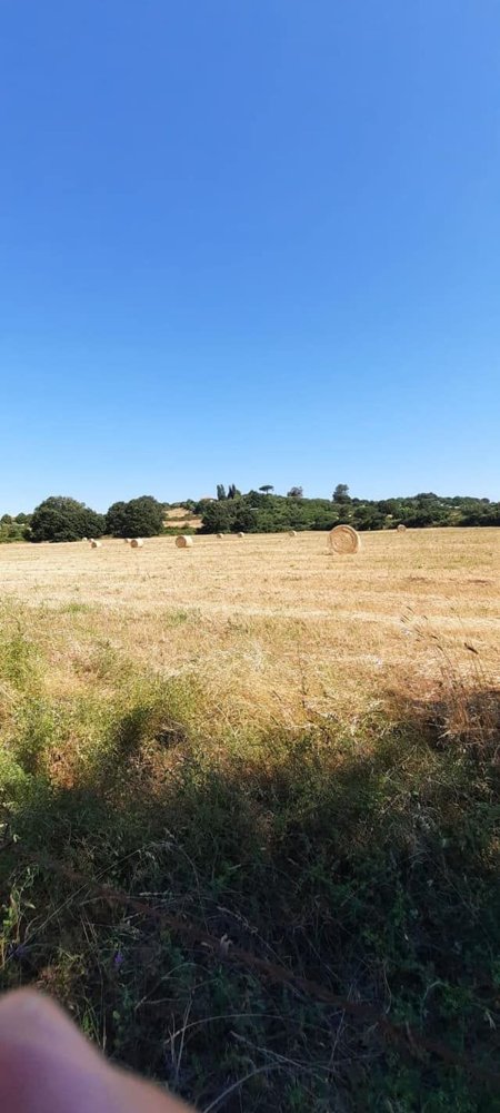  Land in Bracciano, Italy No. 122422