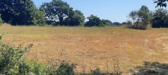 Land in Bracciano, Italy No. 122422 4