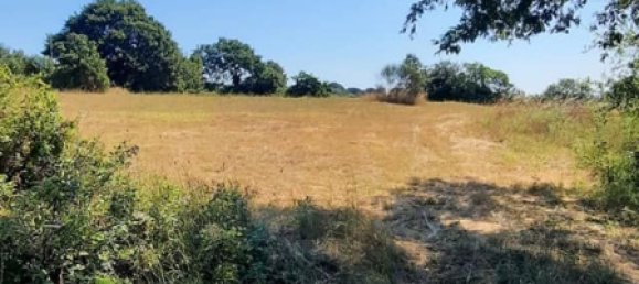 Land in Bracciano, Italy No. 122422 5
