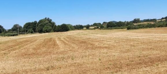 Land in Bracciano, Italy No. 122422 2