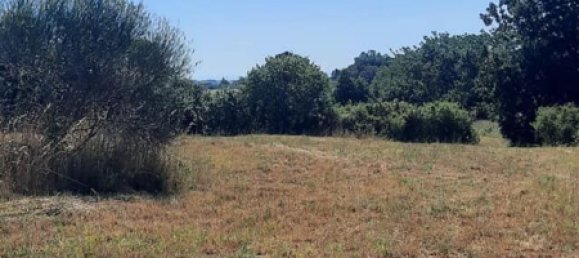 Land in Bracciano, Italy No. 122422 7