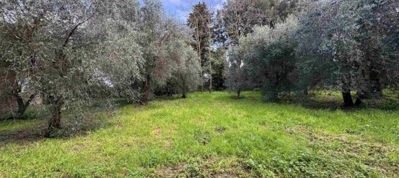 13-salle Bâtiment à Montespertoli, Italy No. 92871 29