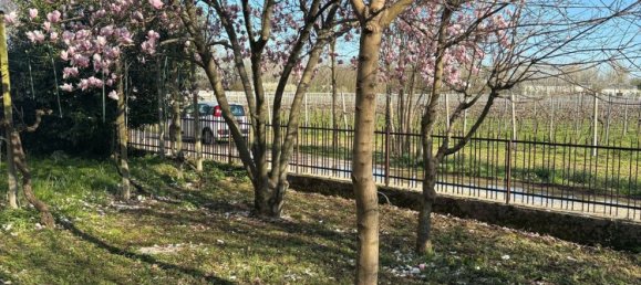 10 bedrooms House in Treviso, Italy No. 342352 8