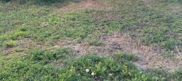 10 bedrooms House in Treviso, Italy No. 342352 11