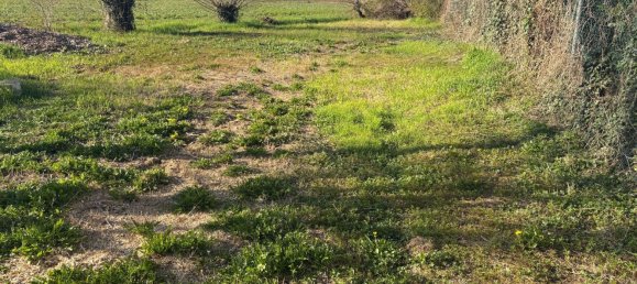 10 bedrooms House in Treviso, Italy No. 342352 10