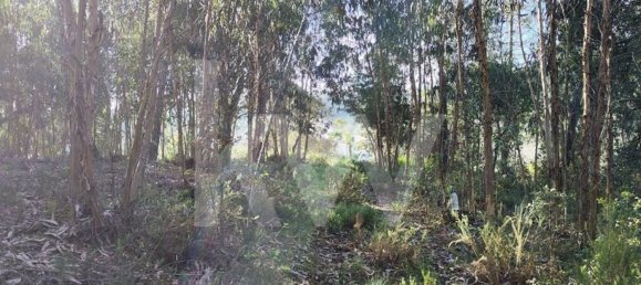 3562m² Land in Mafra, Portugal No. 64251 16