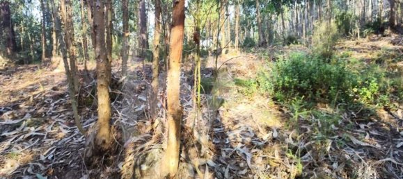 3562m² Land in Mafra, Portugal No. 64251 10