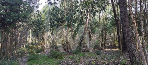 3562m² Land in Mafra, Portugal No. 64251 7