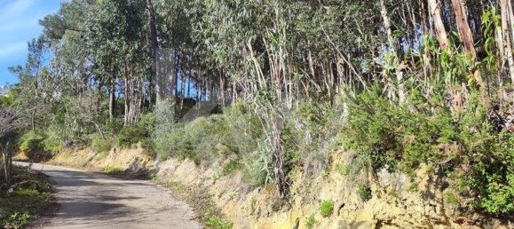 3562m² Land in Mafra, Portugal No. 64251 2