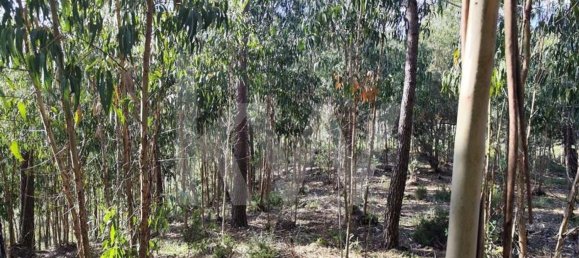 3562m² Land in Mafra, Portugal No. 64251 13