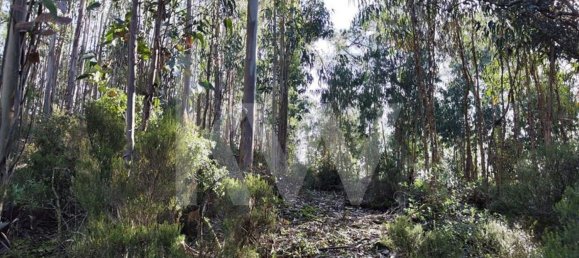 3562m² Land in Mafra, Portugal No. 64251 17