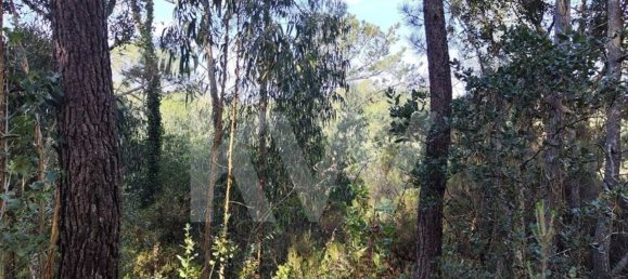 3562m² Land in Mafra, Portugal No. 64251 18