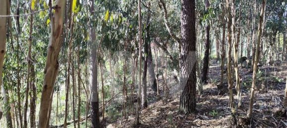 3562m² Land in Mafra, Portugal No. 64251 11