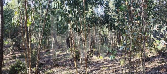 3562m² Land in Mafra, Portugal No. 64251 14