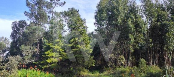 3562m² Land in Mafra, Portugal No. 64251 6